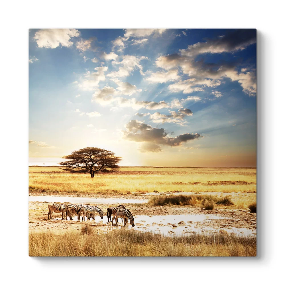 Afrika Zebra Tablosu - Model 3